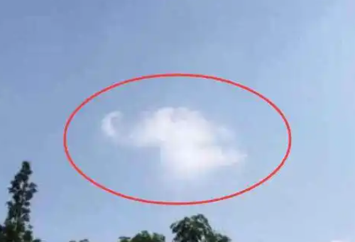 网约车司机.png